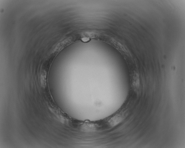 X0000083060332200702161803