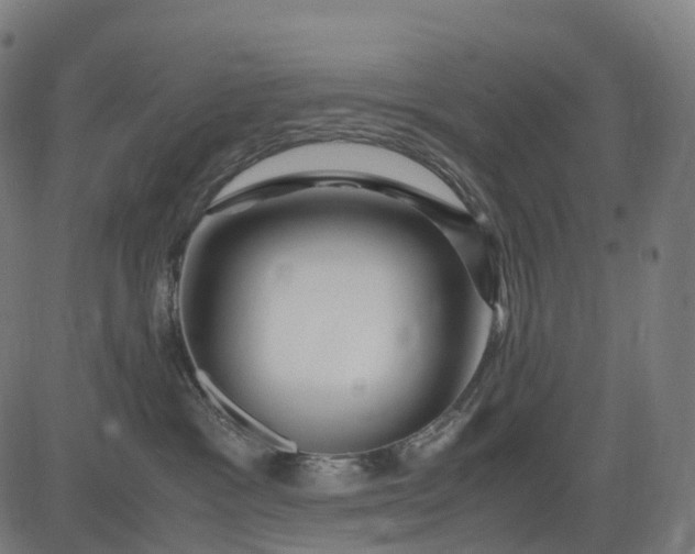 X0000083060333200702161803