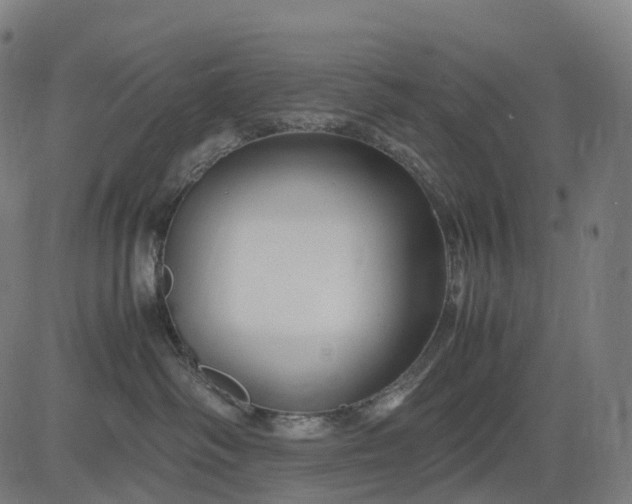 X0000083060334200702161803