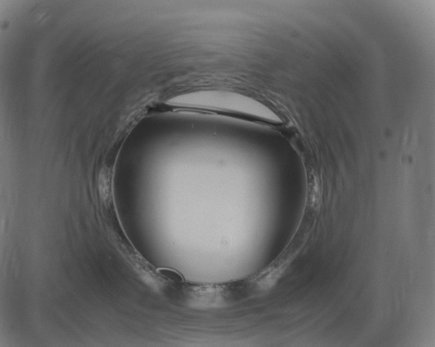 X0000083060335200702161803