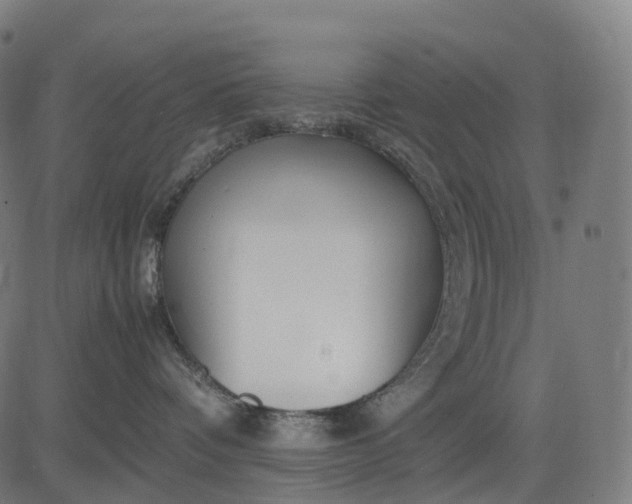 X0000083060336200702161803