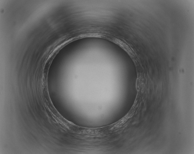 X0000083060338200702161802