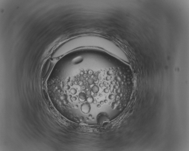 X0000083060339200702161802