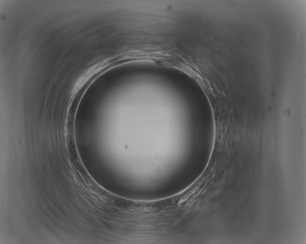 X0000083060340200702161802