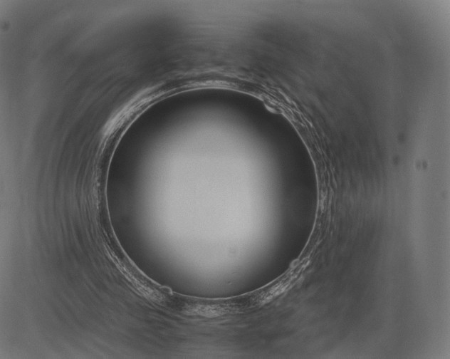 X0000083060341200702161802