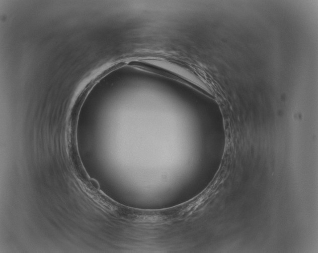 X0000083060342200702161802