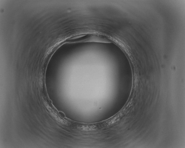 X0000083060345200702161802