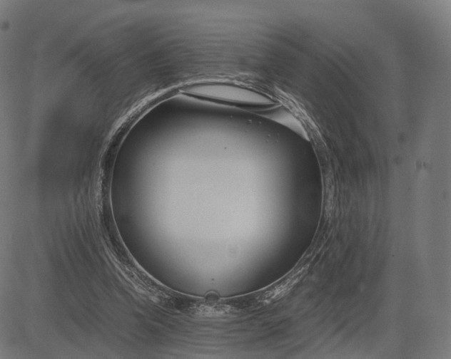 X0000083060346200702161802