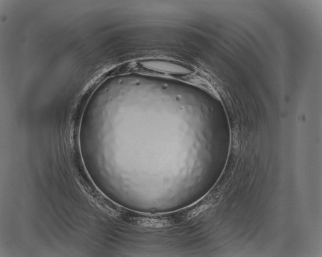 X0000083060347200702161802