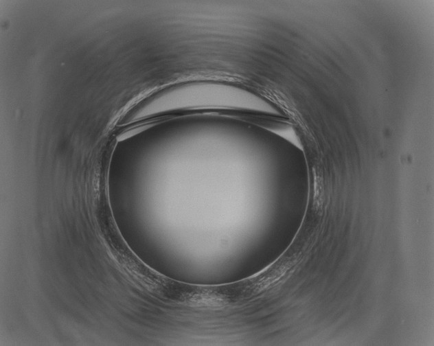 X0000083060348200702161802