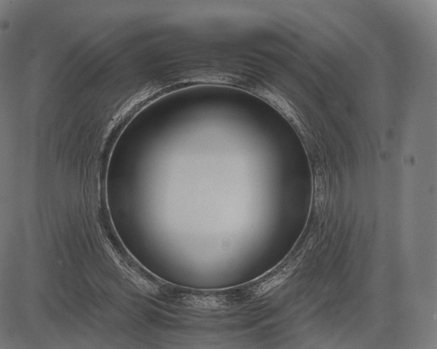 X0000083060349200702161802