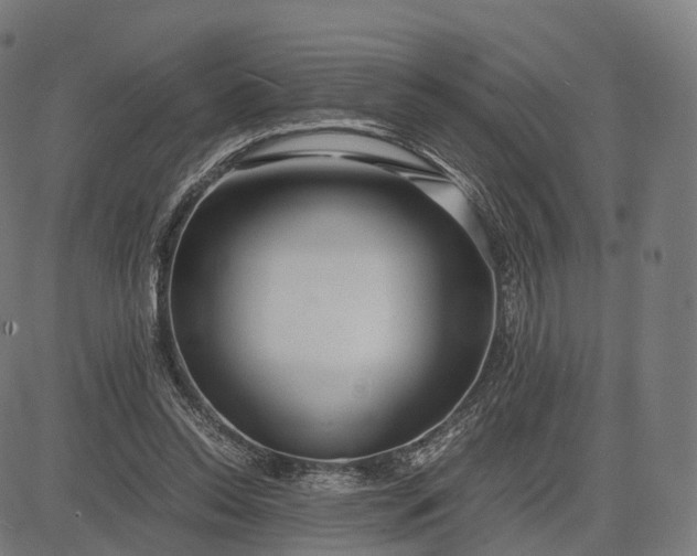 X0000083060350200702161802