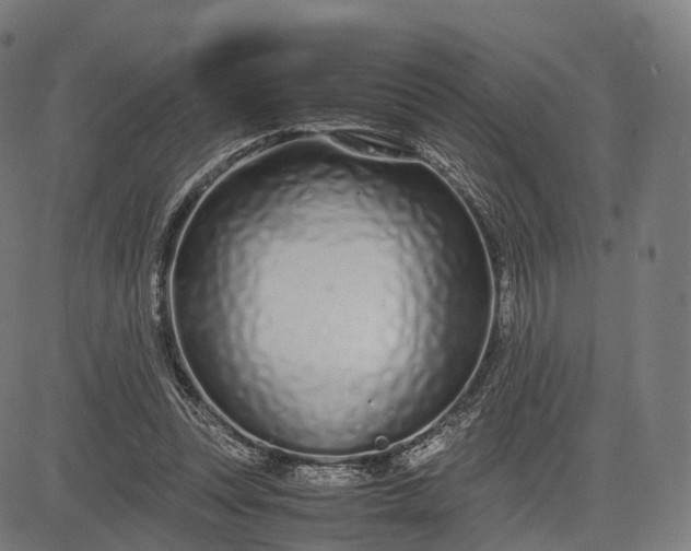 X0000083060351200702161802