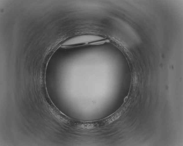 X0000083060353200702161802