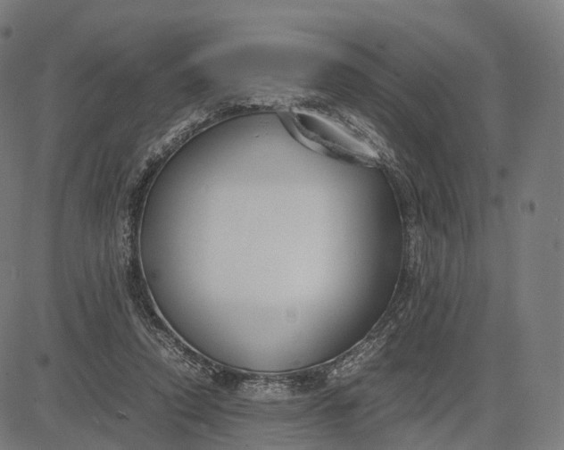 X0000083060354200702161802