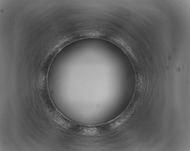 X0000083060355200702161802