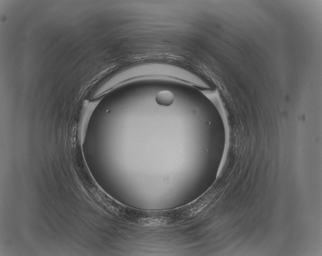 X0000083060356200702161802