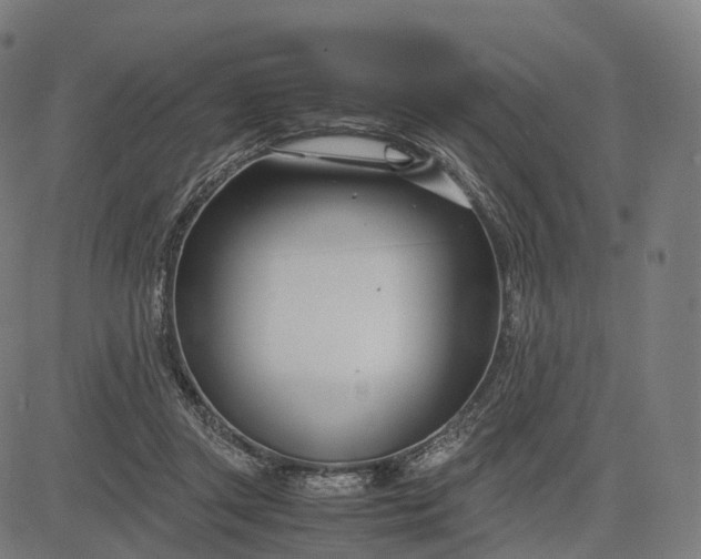 X0000083060357200702161802