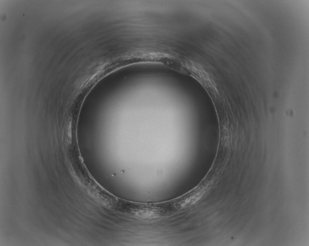 X0000083060358200702161802