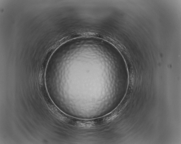 X0000083060359200702161802