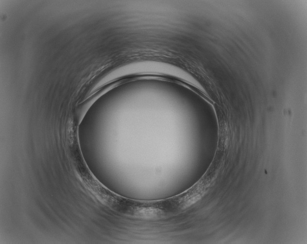 X0000083060360200702161802