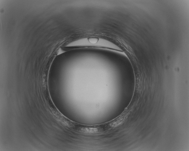 X0000083060361200702161802