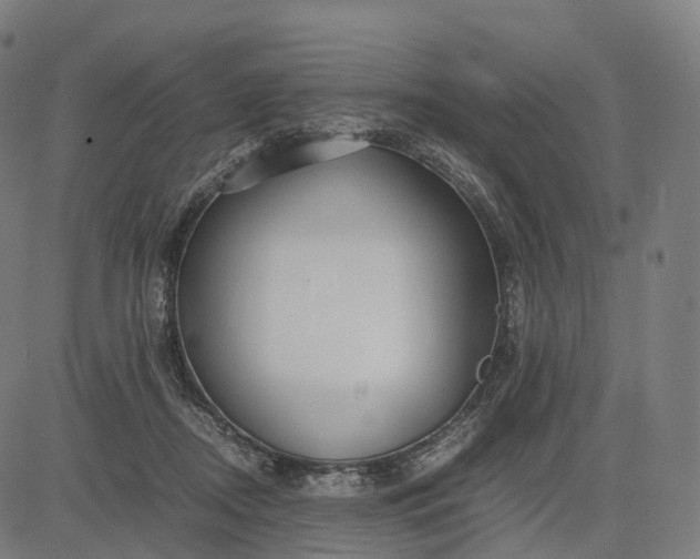 X0000083060362200702161802