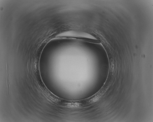 X0000083060363200702161802