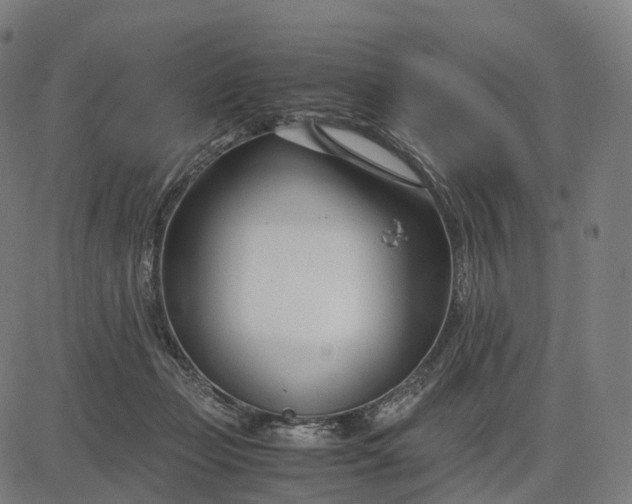 X0000083060365200702161802