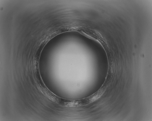 X0000083060366200702161802