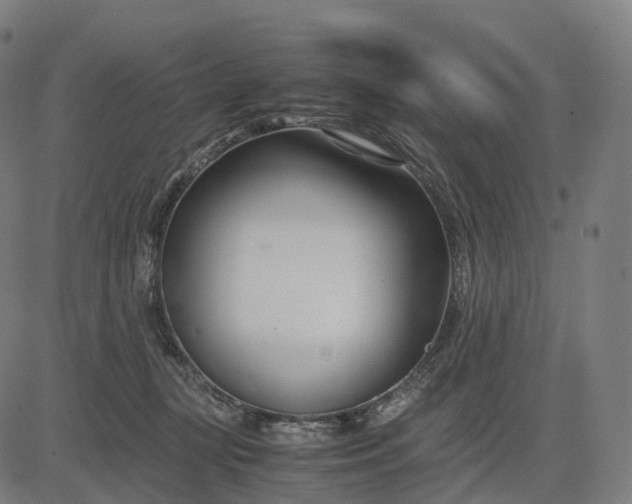 X0000083060367200702161802