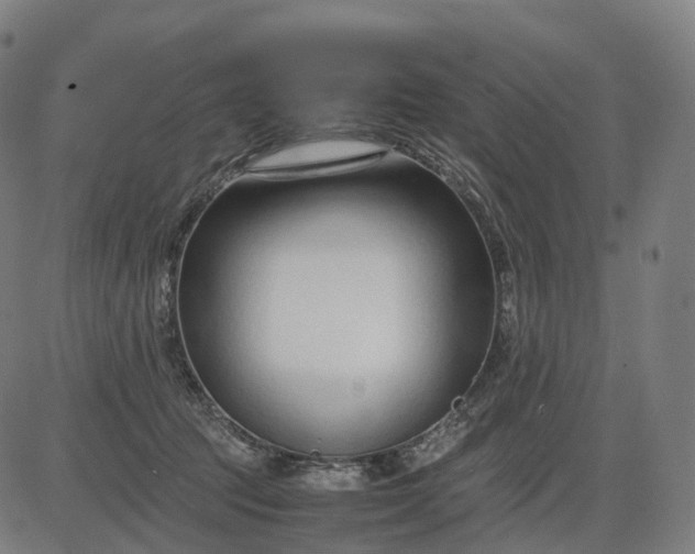 X0000083060369200702161802