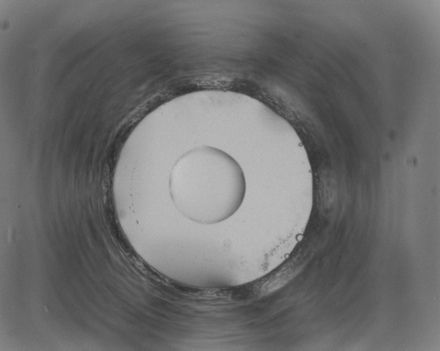 X0000083060370200702161802