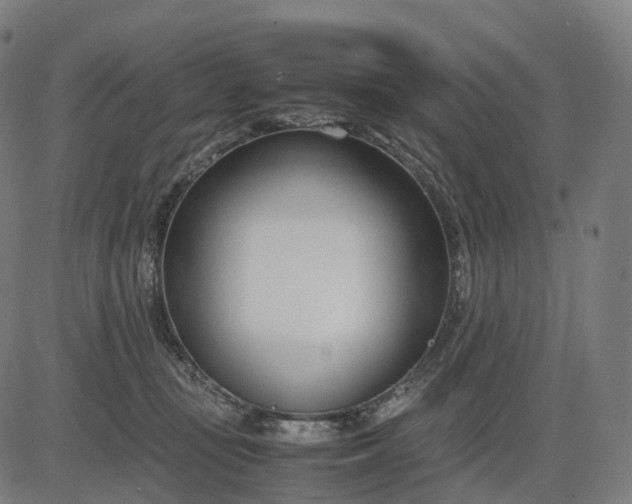 X0000083060371200702161802