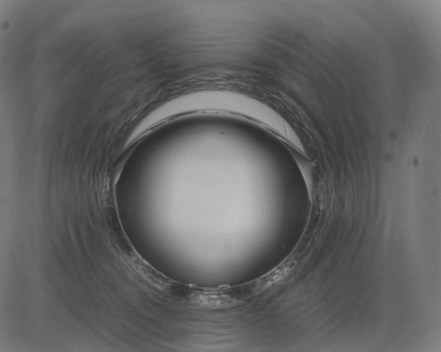 X0000083060372200702161802