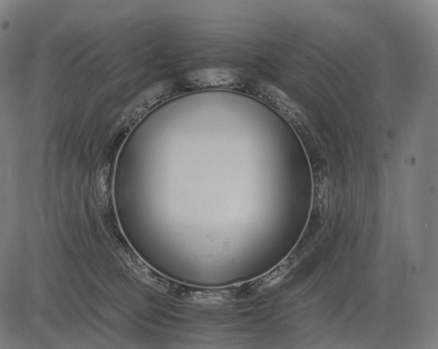 X0000083060373200702161802