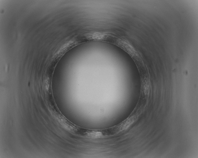 X0000083060374200702161802