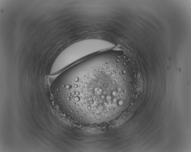 X0000083060375200702161802