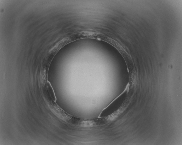 X0000083060376200702161802