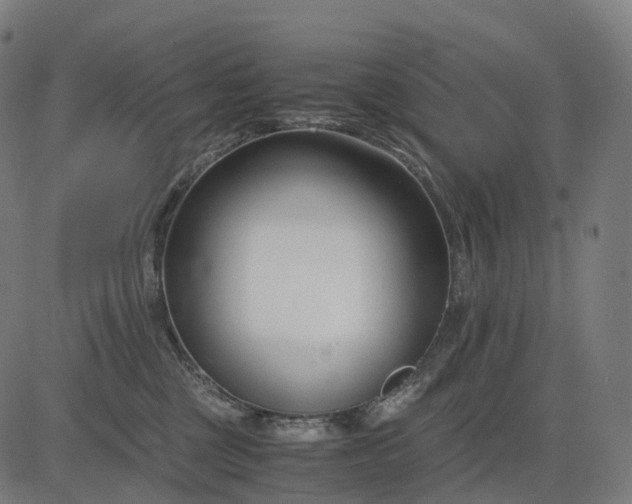 X0000083060377200702161802