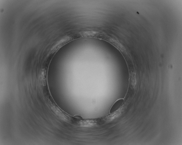 X0000083060378200702161802