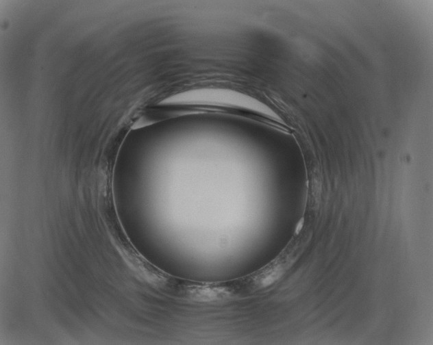 X0000083060379200702161802