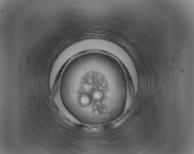 X0000083060381200702161802