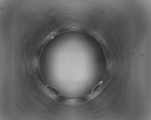 X0000083060382200702161803