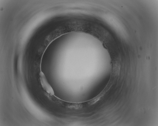 X0000083060383200702161803