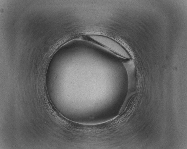 X0000083060385200702161802