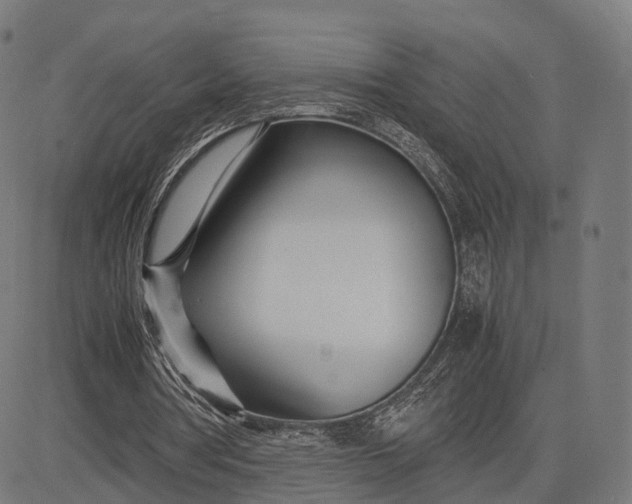 X0000083060386200702161802