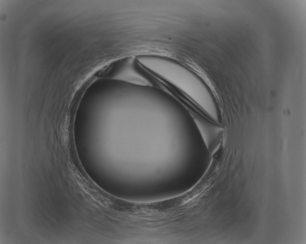 X0000083060387200702161802