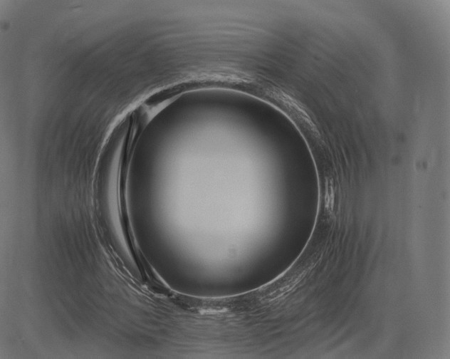 X0000083060388200702161802