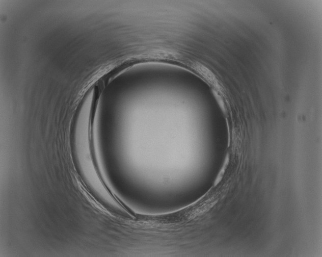 X0000083060389200702161802